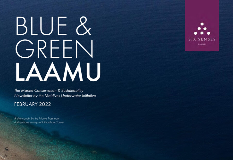 Blue_Green_Laamu_February_2022-featured-Image